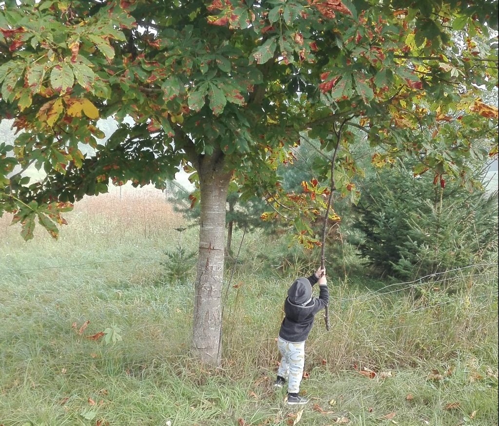 7 Dinge, an denen Mamas merken, dass der Herbst da ist