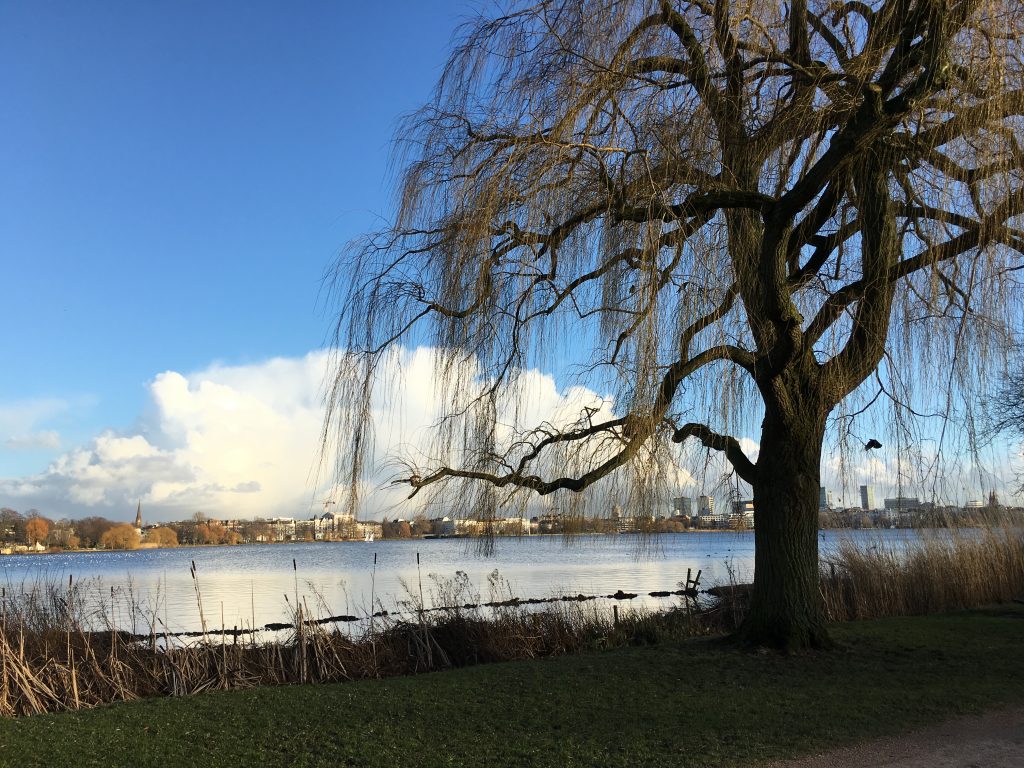 In dieser deutschen Stadt wohnen die ältesten Mamas…