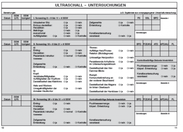 Mutterpass verstehen: Seite 10