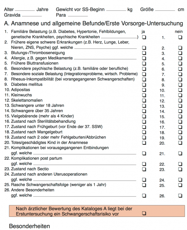 Mutterpass verstehen: Seite 5