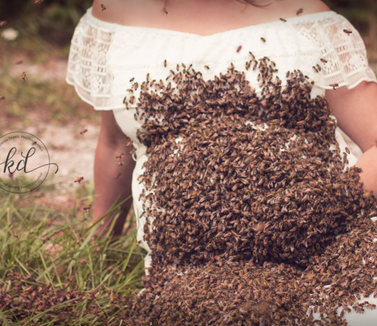 Gebrochenes Herz: „Bienen-Mama“ erleidet Totgeburt
