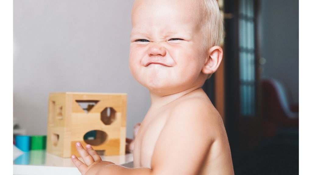 Der Kleine zerstört das Spielzeug des Großen? So halte ich „Mini-Godzilla“ in Schach