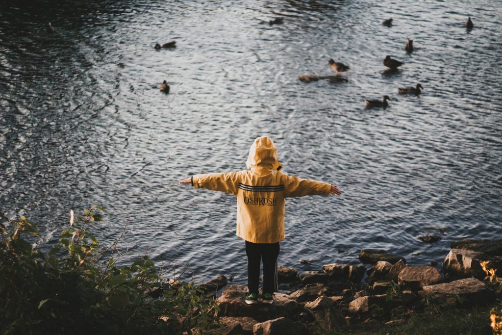 Mit den Kindern Enten füttern gehen? Warum das Tierquälerei ist