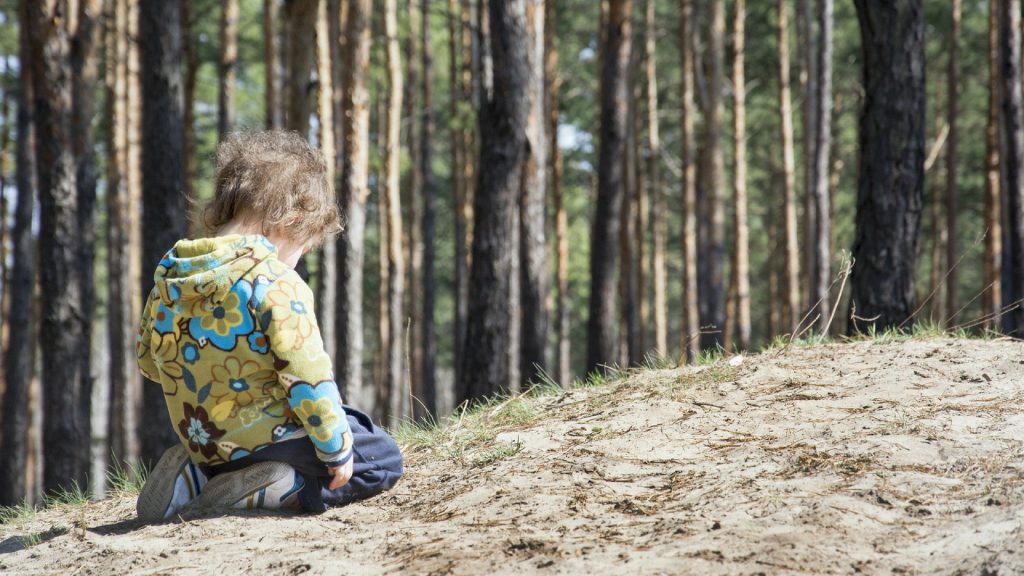 Unglaublich! 2-Jähriger überlebt drei Tage allein im Wald