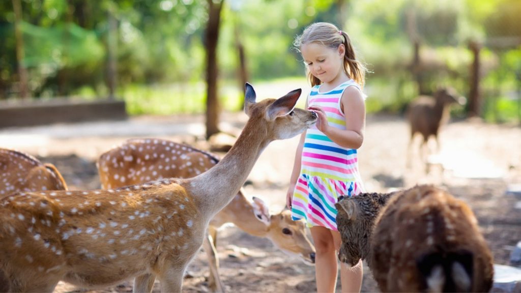 7 Ideen für Ausflüge, die Kinder so schnell nicht vergessen werden