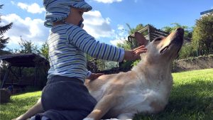 Kind streichelt Hund