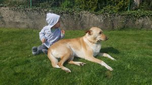 Kind und Hund sitzen auf der Wiese