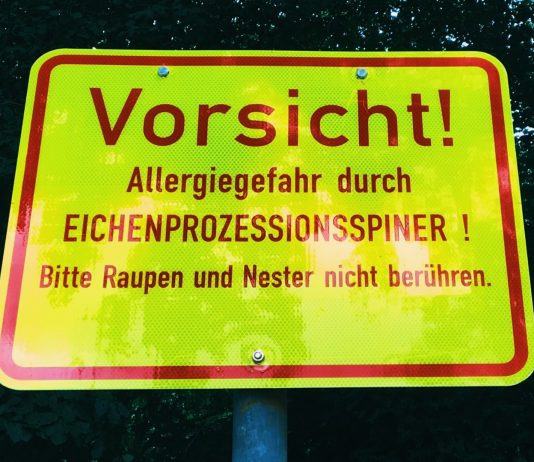 Warnschild Eichenprozessionsspinner