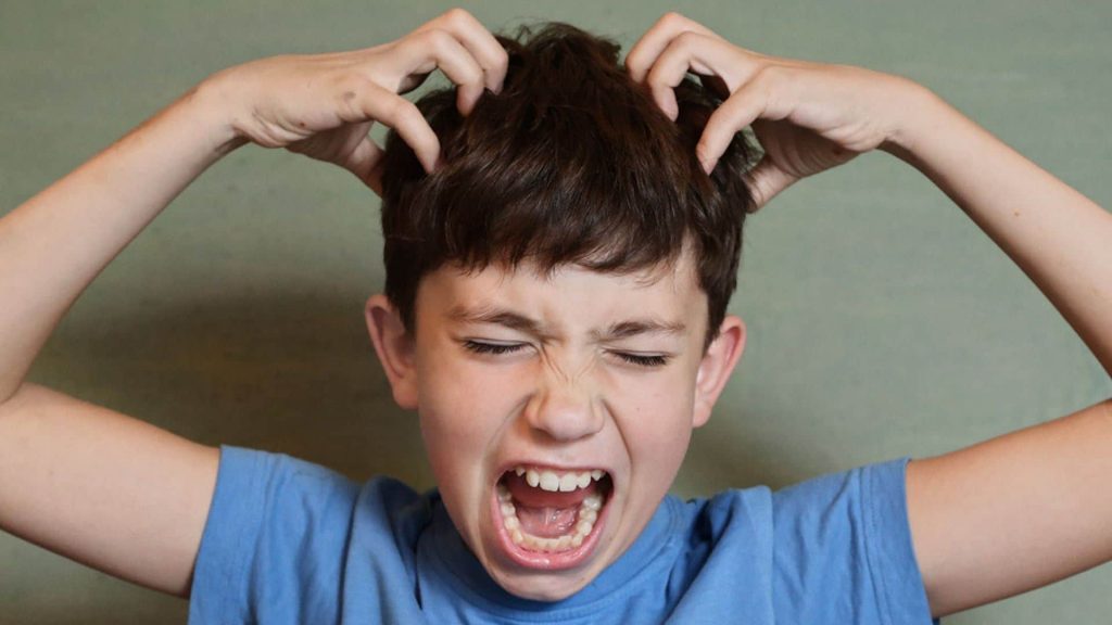 Kopfläuse bei Kindern erkennen – und schnell wieder loswerden!