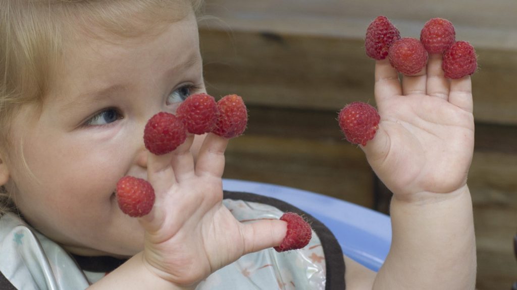 Argumente gegen Quetschies: Darum finde ich echtes Obst viel besser!