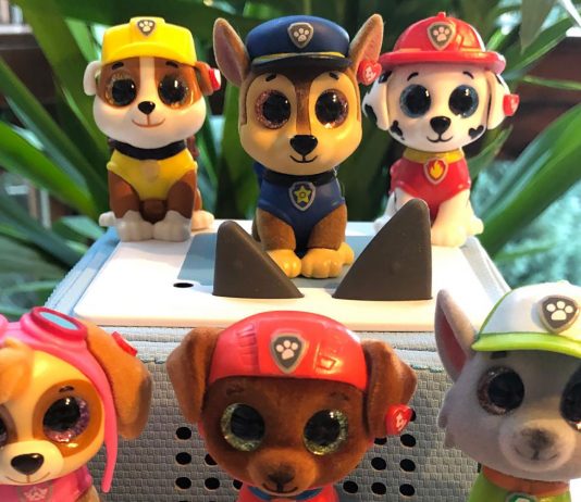 Meine "Paw Patrol" Zaubertonies