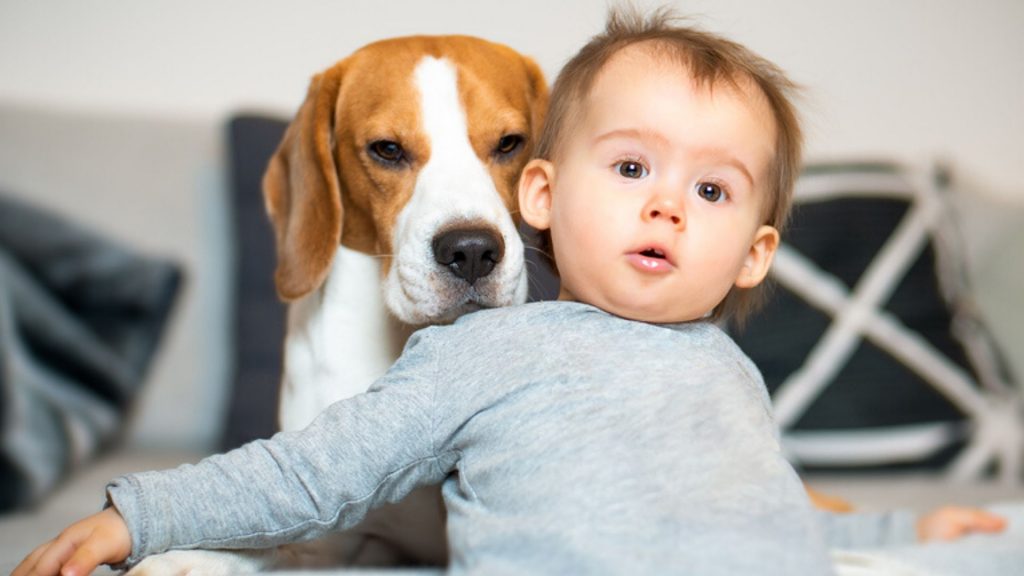 Welche Haustiere für Kinder gut geeignet sind