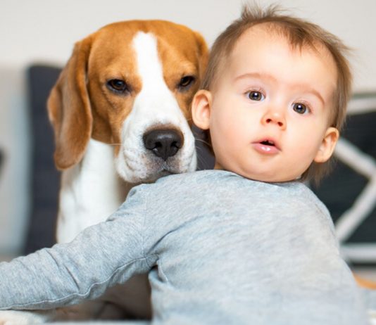 Haustiere für Kinder: Junge mit Hund