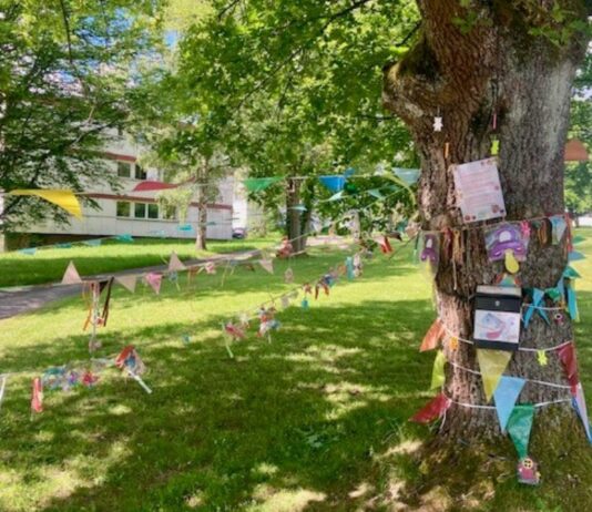 Der Schnullerbaum auf dem Gelände des Krankenhauses in Buchen.