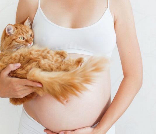 Toxoplasmose in der Schwangerschaft kann gefaerhlich fuer dein Baby werden