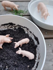 Was eine Schweinerei. 