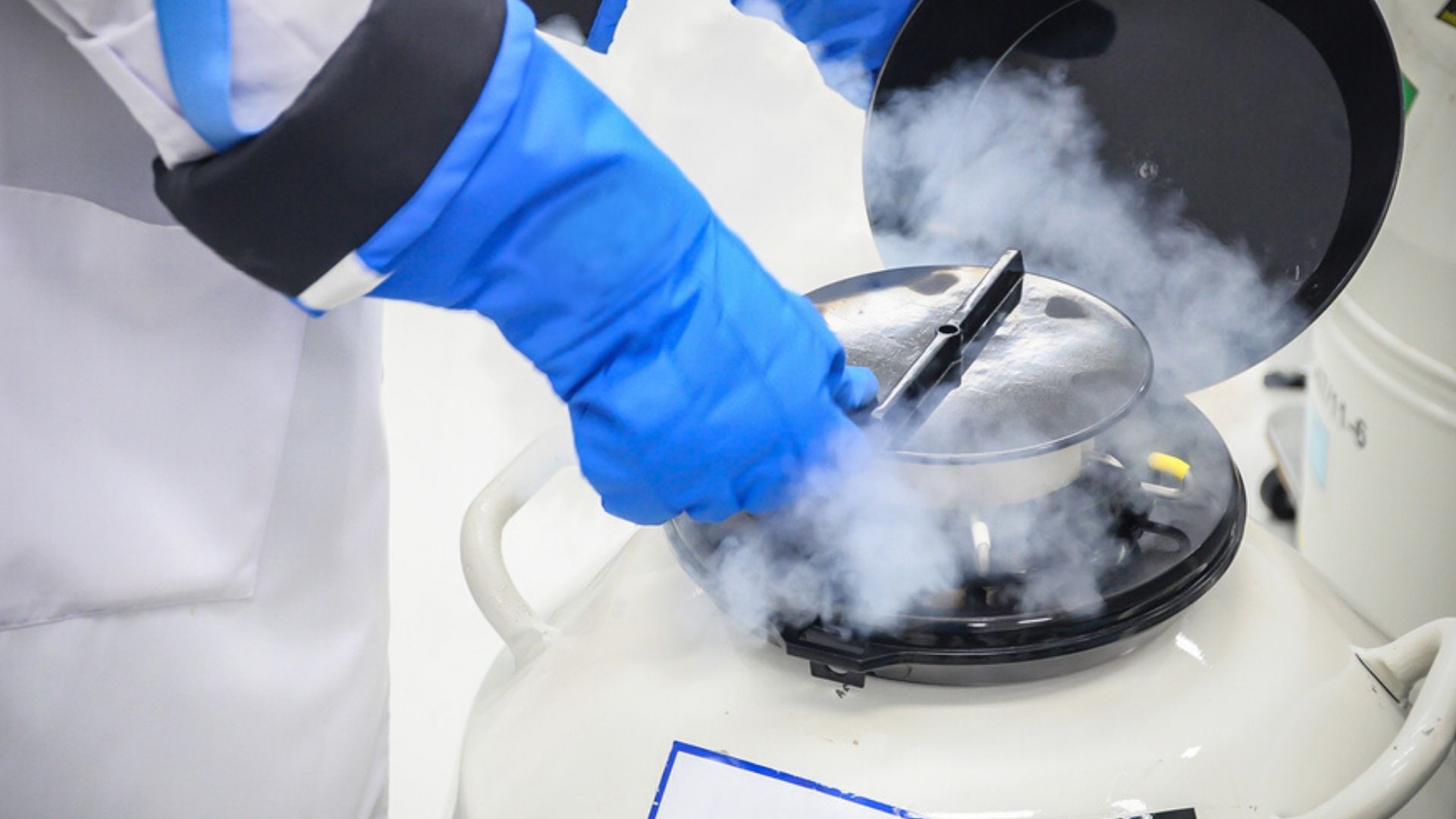 Social Freezing Eizellen Einfrieren So Kann Es Dir Helfen Echte Mamas