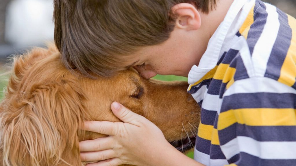 Beide stark unterernährt: Junge bettelt um Essen für sich und seinen Hund