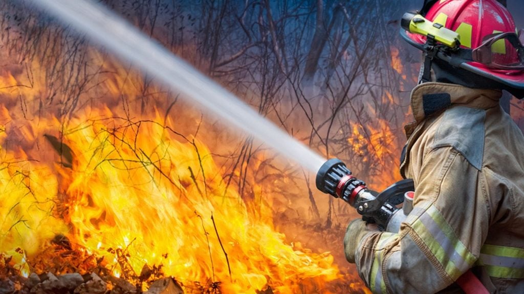 Babyparty verursacht riesigen Waldbrand