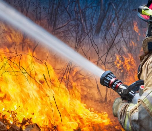 Die Eltern haben mit ihrer Babyparty einen riesigen Waldbrand verursacht.