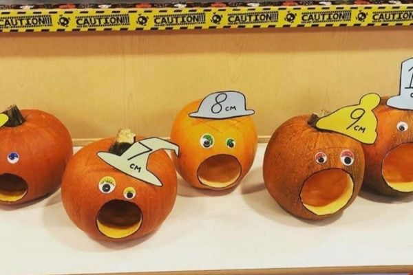 Gruselig oder brillant? Die Kürbisse zeigen die Öffnung des Muttermundes.