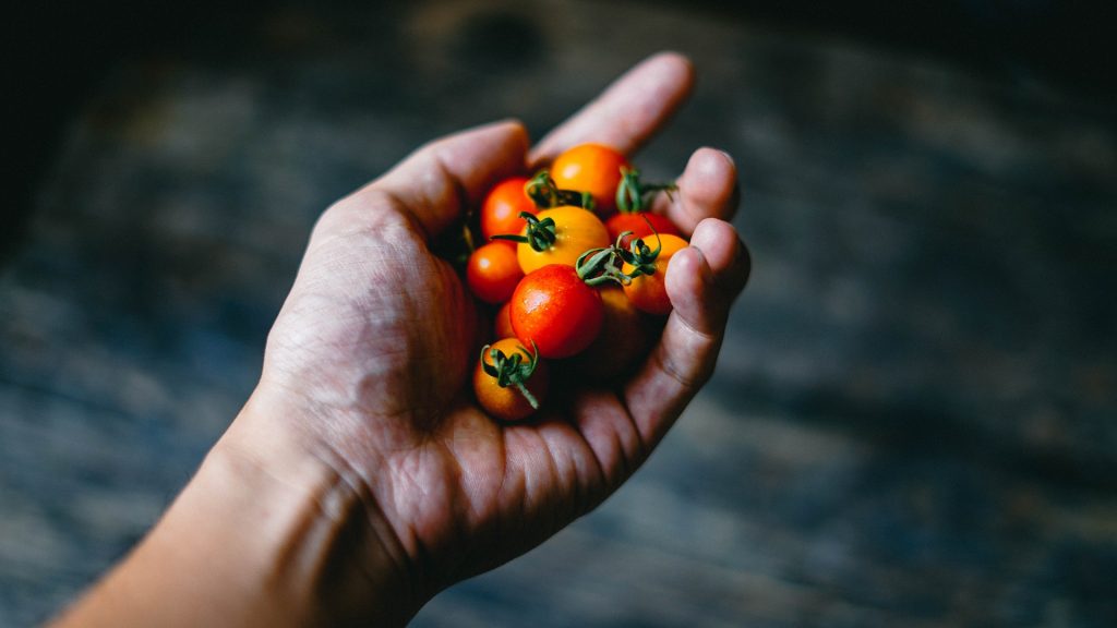 Tomate für Babys? Ab wann und wie viel ok ist