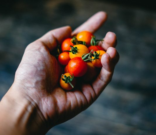 Ist Tomate für Babys geeignet? Ab wann und wie viel