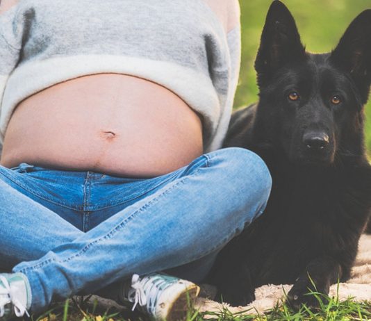 Eine schwangere Frau berichtet bei Reddit von ihren Sorgen um den Hund.