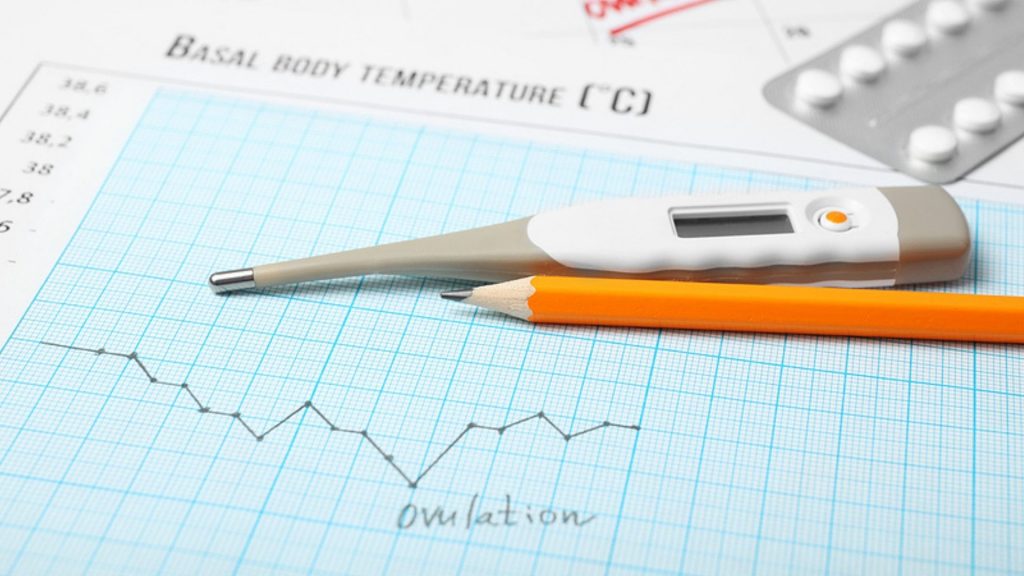 NFP Verhütung lernen: Wie du die Methode sicher anwendest