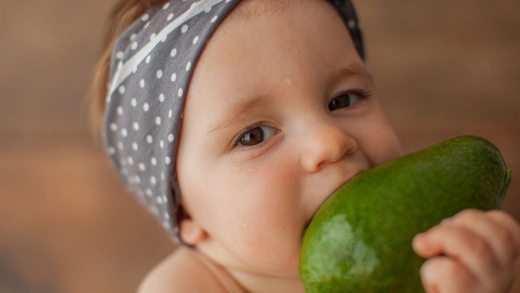 Avocado fürs Baby: ein echtes Superfood?