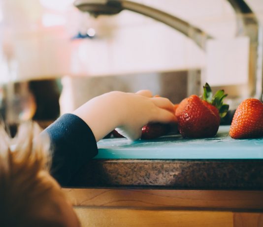 Familienkost - Rezepte und Tipps für die Umstellung