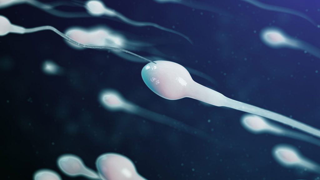 Ist Sperma gut für die Haut?