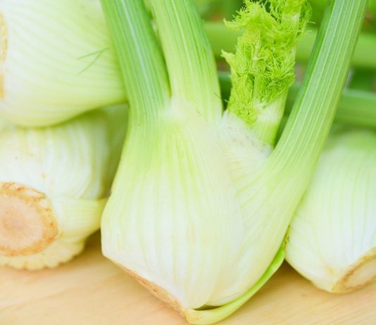 Fenchel Babybrei hilft gegen Blähungen und Bauchschmerzen.