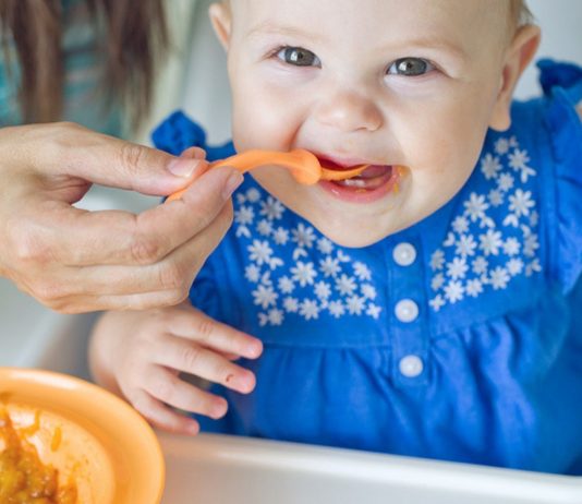 Zum Beikost-Start stellt sich die Frage: Welches Fleisch ist für Babybrei geeignet?