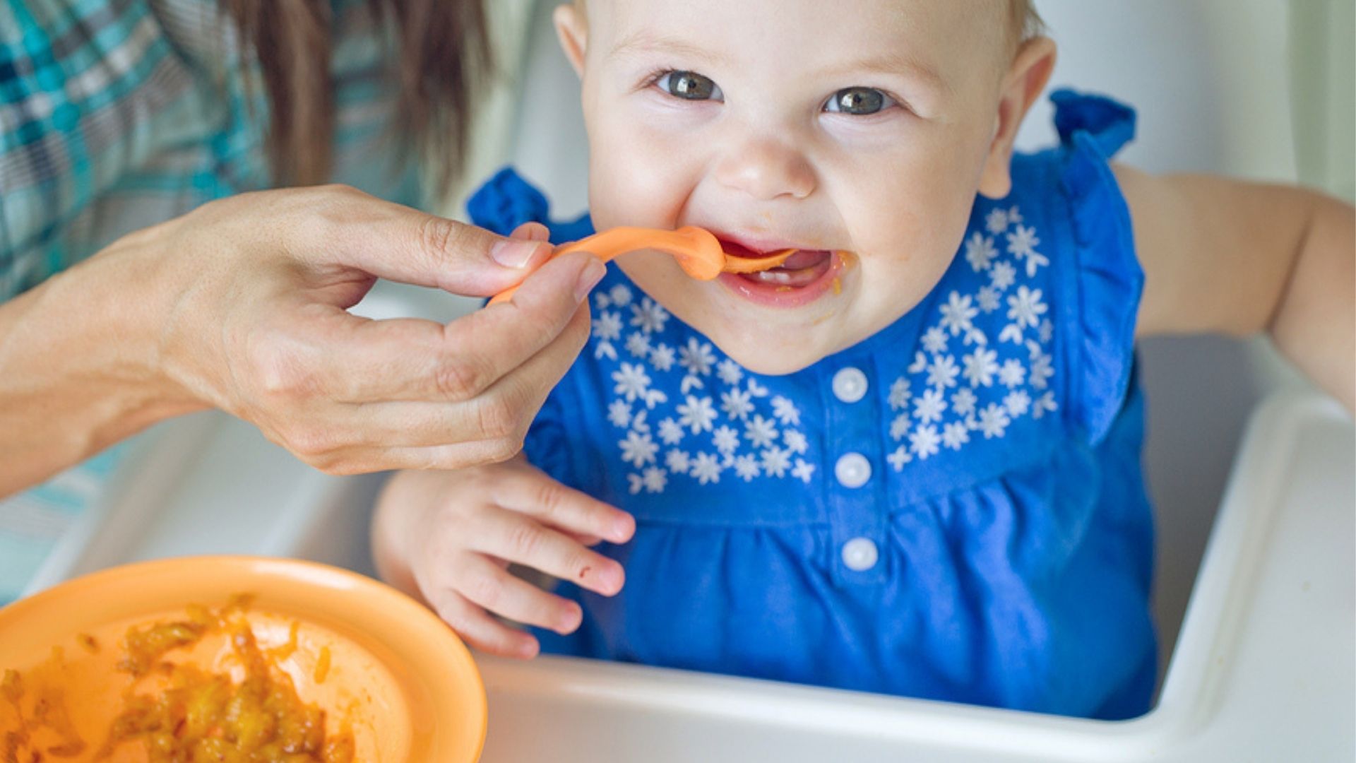 Zum Beikost-Start stellt sich die Frage: Welches Fleisch ist für Babybrei geeignet?