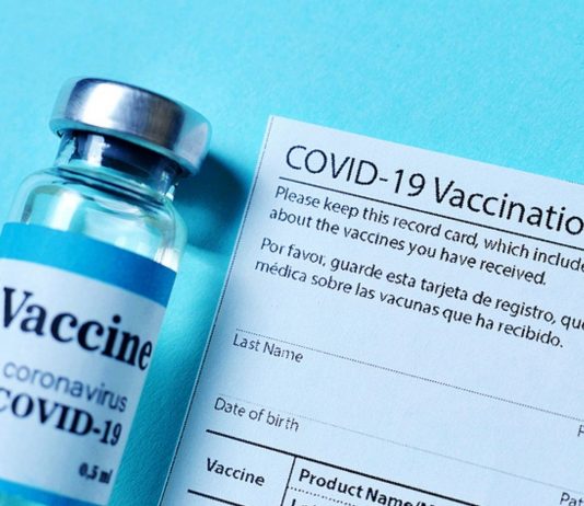 Der EU-Impfausweis soll vor der Reisezeit im Sommer kommen.