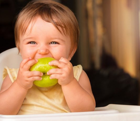 Apfelbrei ist der ideale erste Obstbrei, den du deinem Baby geben kannst.