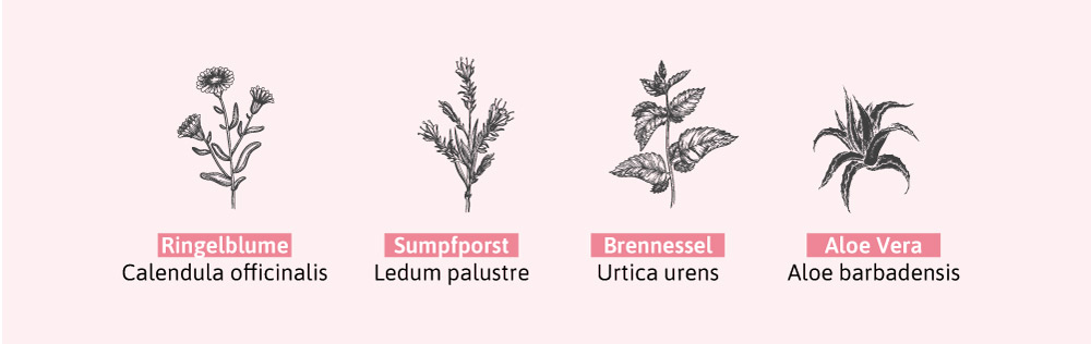 Pflanzenstoffe, die eine hautberuhigende Wirkung haben