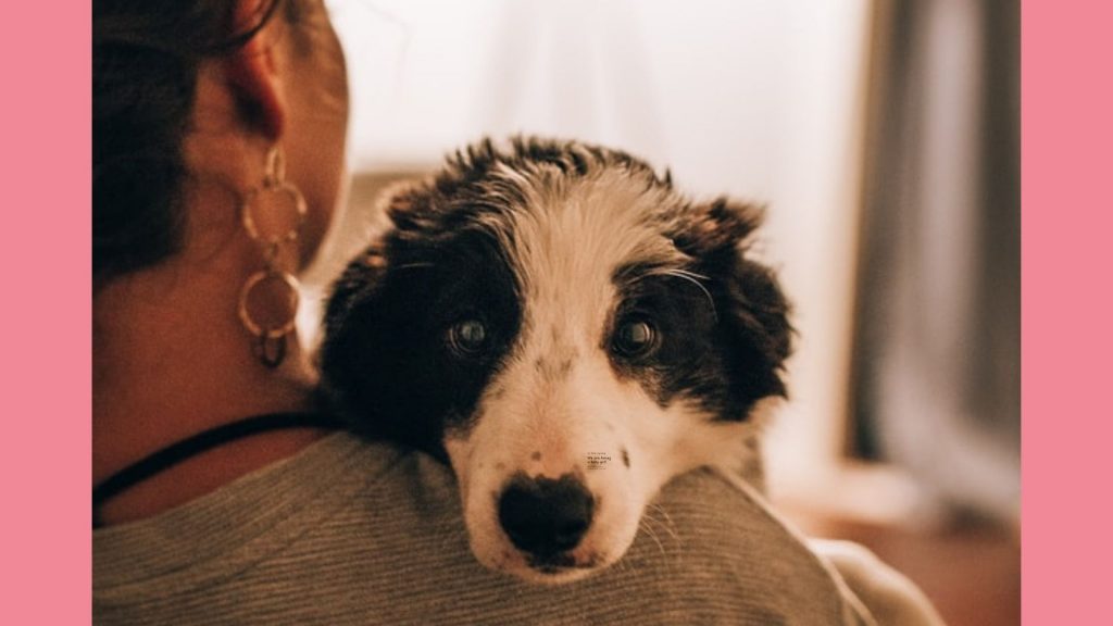 „Ich musste meinen geliebten Hund für mein Kind weggeben.”