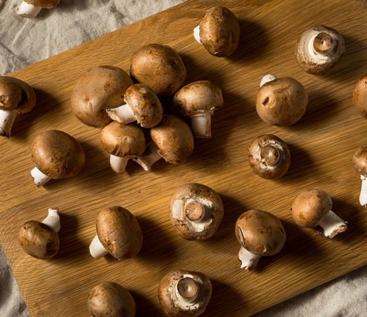 Wenn schon erste Brei-Varianten ingeführt wurde, kannst du deinem Baby kleine Mengen pürierte Pilze anbieten.