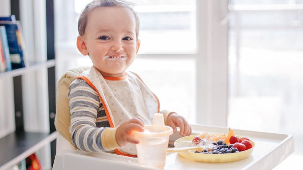 Sind Heidelbeeren für mein Baby gesund oder gefährlich?