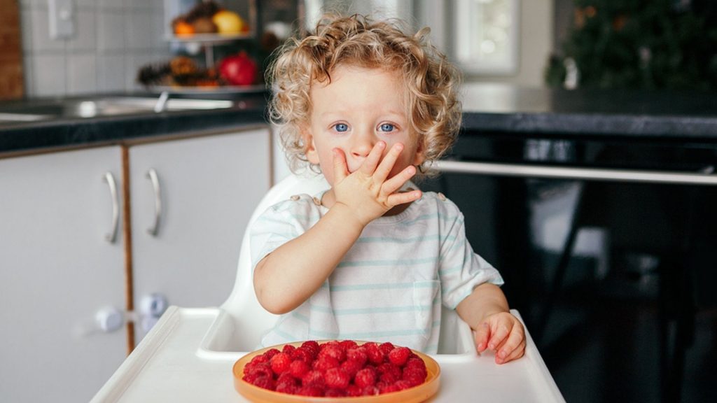 Himbeeren fürs Baby: Ab wann sind sie erlaubt?