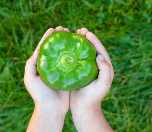 Paprika fürs Baby? Grundsätzlich ist das Gemüse für Kleinkinder ungefährlich.