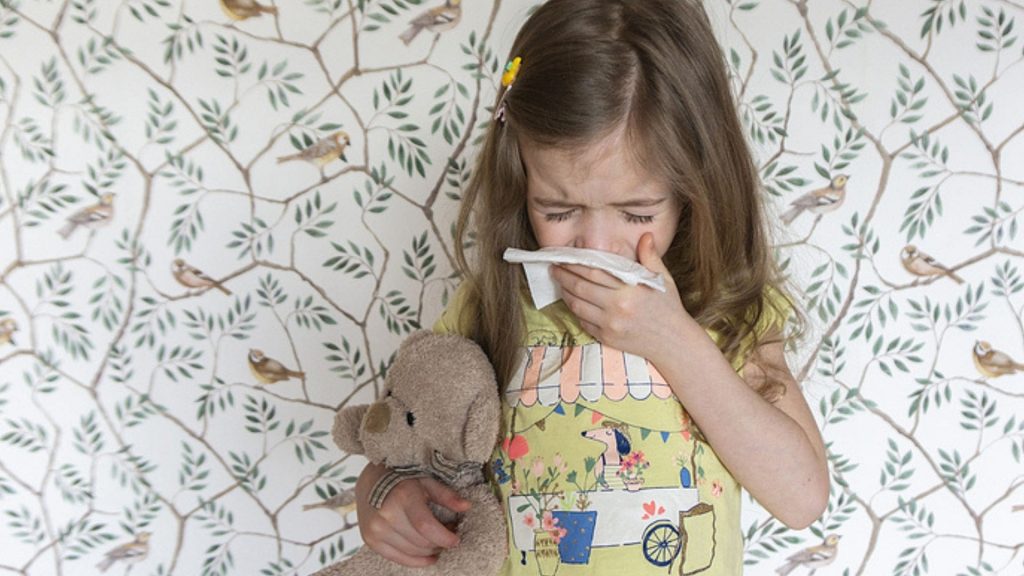Erkältung, RSV & Co.: Darum werden jetzt so viele Kinder krank