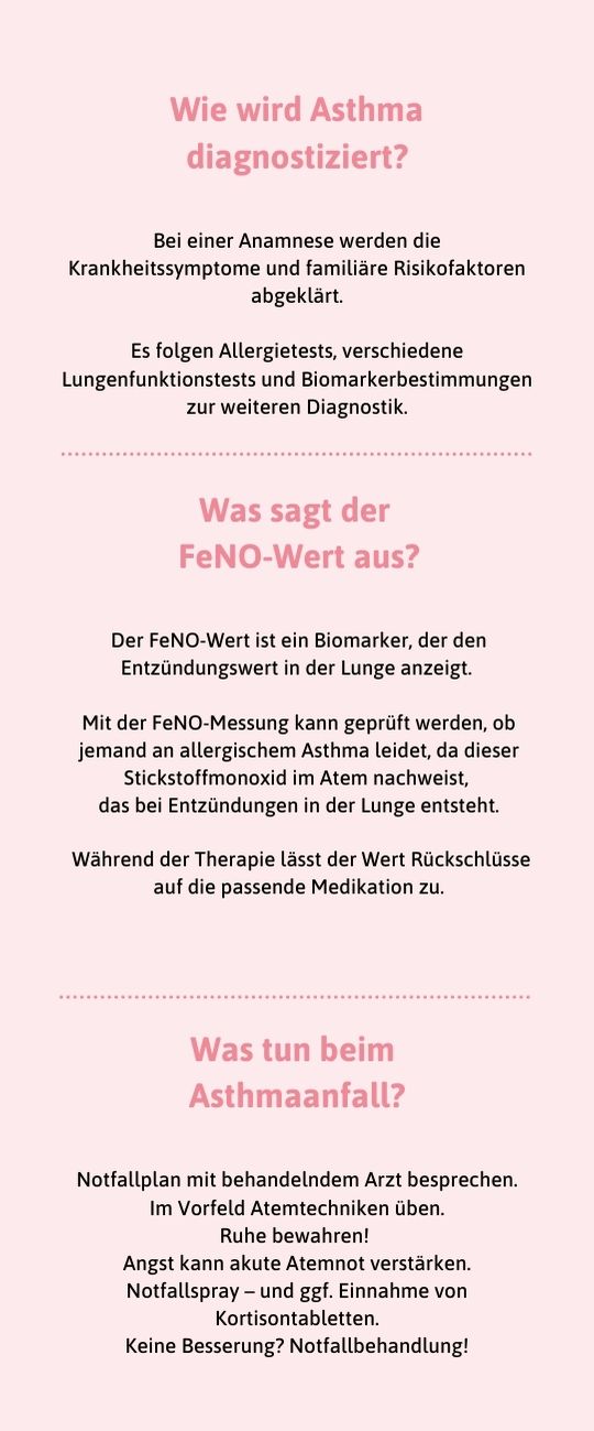 Asthma: Die wichtigsten Infos auf einen Blick.