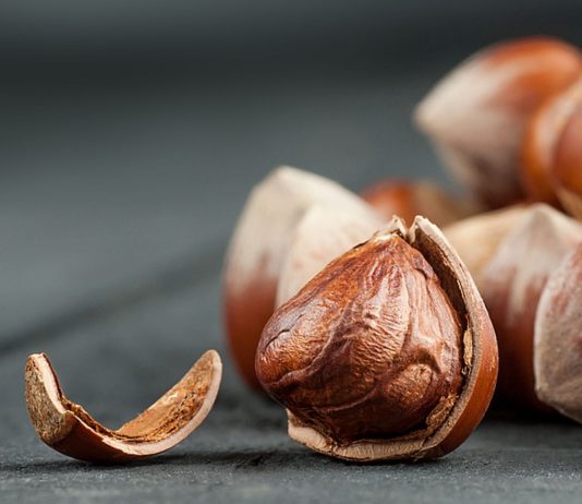 Haselnüsse sind in der Schwangerschaft ein echtes Superfood.