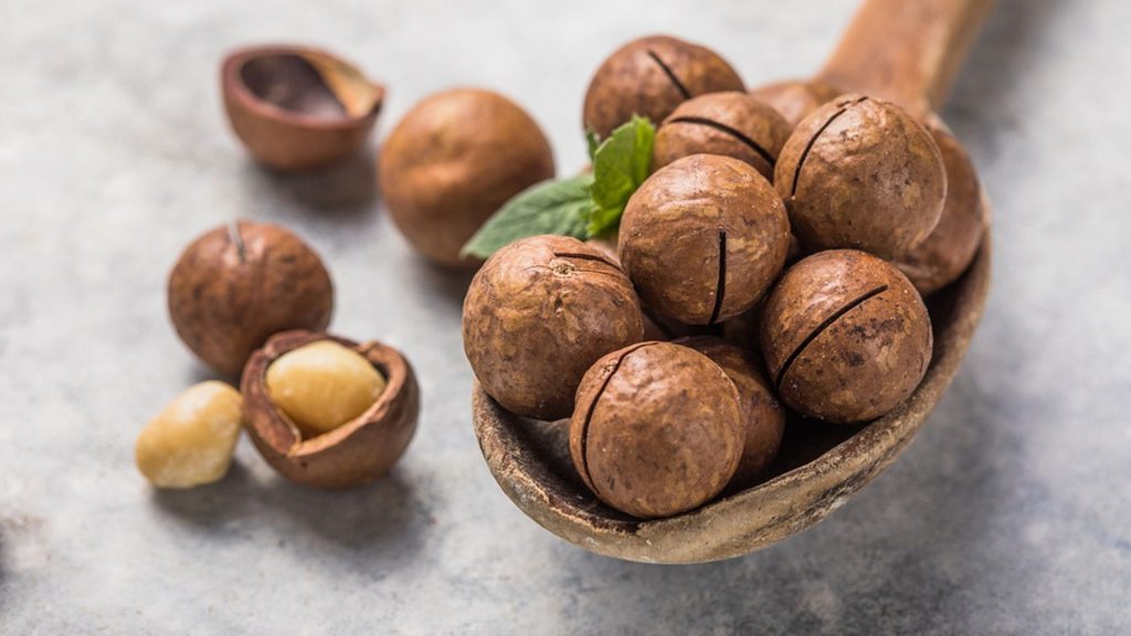 Macadamianüsse in der Schwangerschaft: Ein guter Snack für zwischendurch