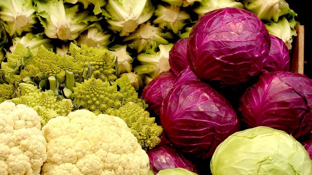 Kohl in der Schwangerschaft – gut zubereitet ein grandioses Gemüse!