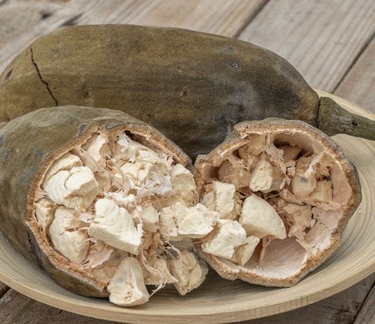 Baobab enthält viel Vitamin C und ist daher auch während der Schwangerschaft gesund.