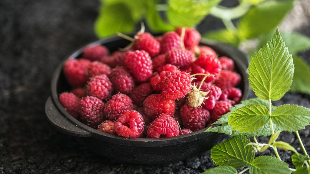 Sind Himbeeren in der Schwangerschaft gesund?